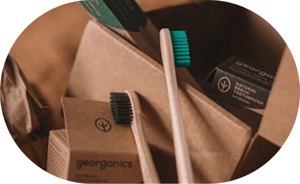 Support for reforestation efforts across North America